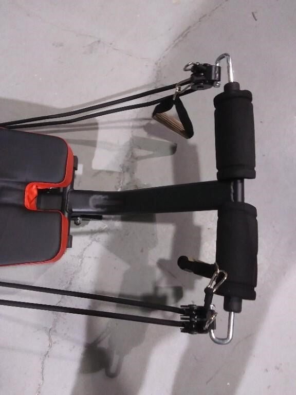 PLH Rapid Abs and Arms