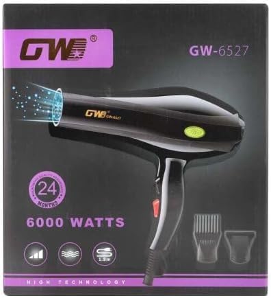 HAIR DRYER GW-6524 6000W