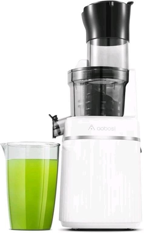 Aobosi Slow Masticating Juicer with Large Feed Chu