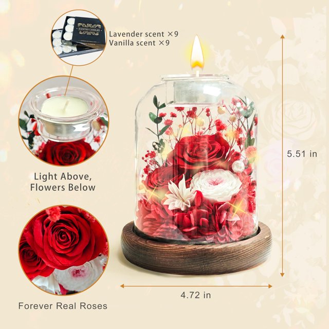 Chicvault Prime Preserved Rose Gifts for Her