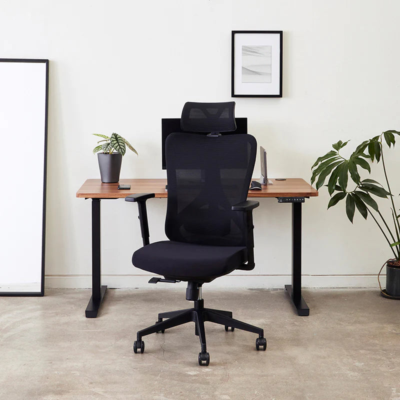 Rise Ergo Chair