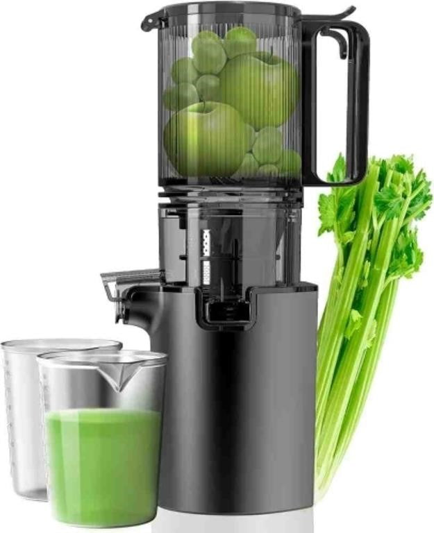 Cold Press Juicer, 4.8" Extra Large Feed Duct