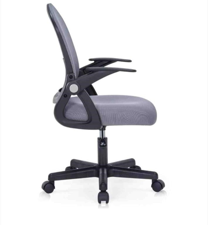 GERTTRONY Ergonomic Office Chair Chair with Lumbar support