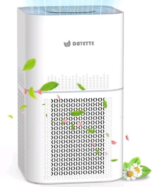 Dayette Air Purifier for up to 2200 Sq Ft with Air