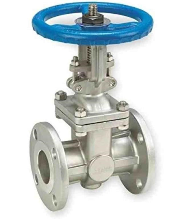 Gate Valve, Class 150, 1 in, Flange, SV35116010
