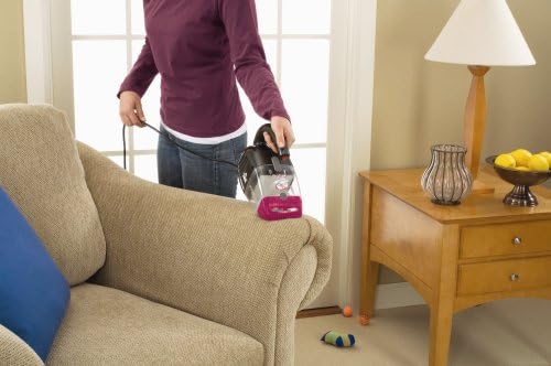 Bissell Pet Hair Eraser Hand Vac 33A1C