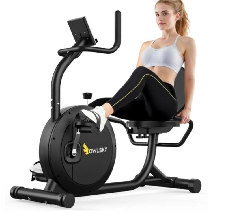 OWLSKY Recumbent Exercise Bike, Quiet 15LBS Flywheel, 300LBS Capacity,