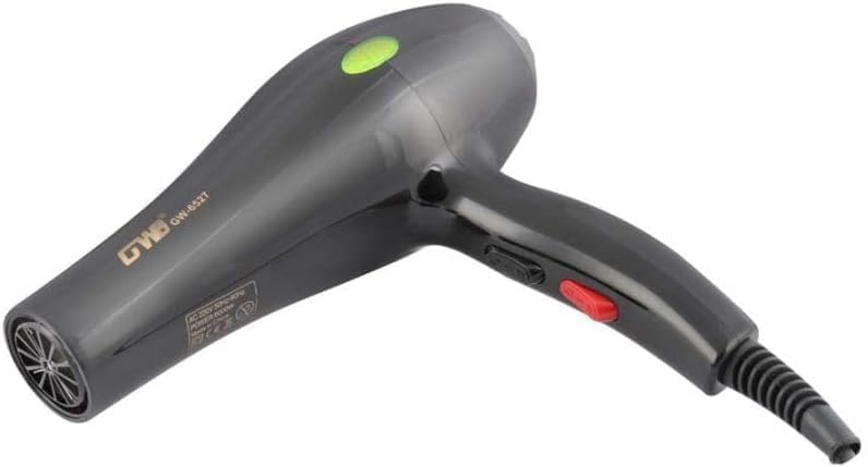 HAIR DRYER GW-6524 6000W