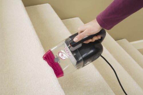 Bissell Pet Hair Eraser Hand Vac 33A1C