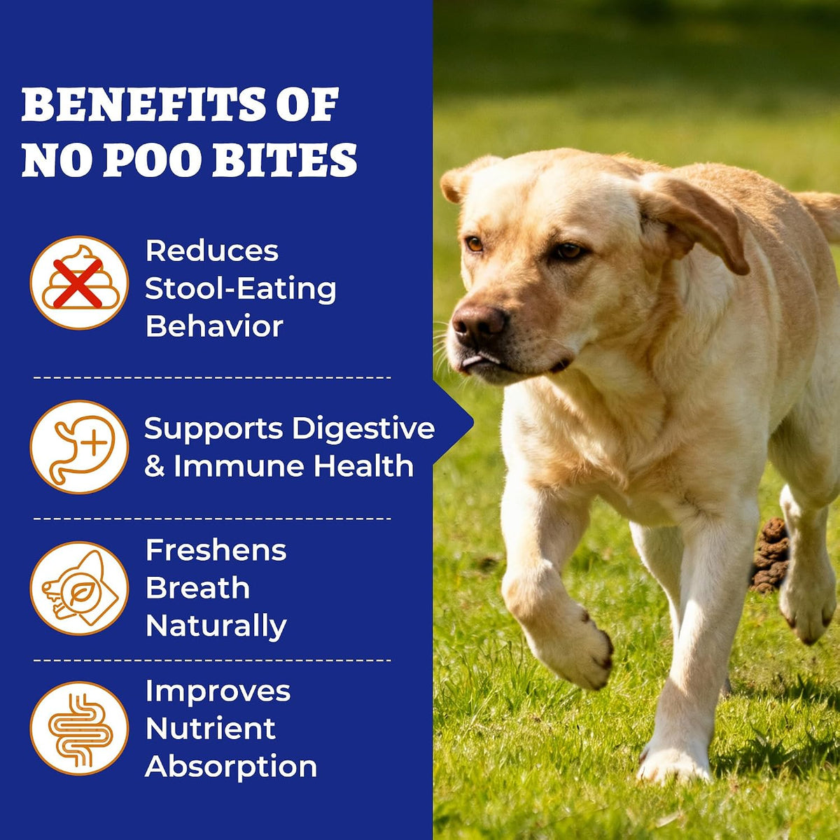 Wellix 260 Bites No Poo Chews for Dogs - Chicken & Pumpkin Flavor (1300 PCS Total)