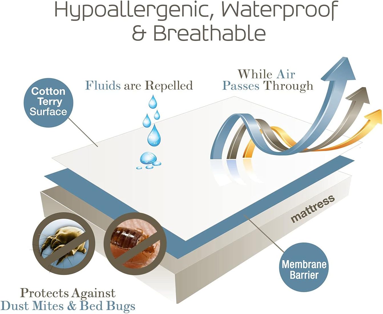 SafeRest Premium Zippered Mattress Cover - Waterproof Mattress Encasement, Breathable, Noiseless and Vinyl Free (Fits 9" Inch H), Twin Size