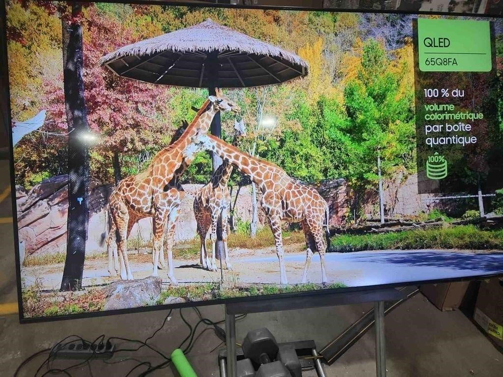 SAMSUNG 65 Inch QLED Q8F 4K Smart TV, AI Gen 1 Processor,