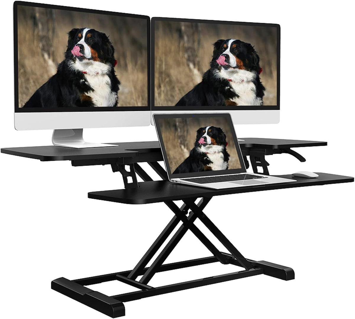 Standing Desk Converter - 42 Inch Height Adjustable Standing Desk Riser, Black FLEXISPOT