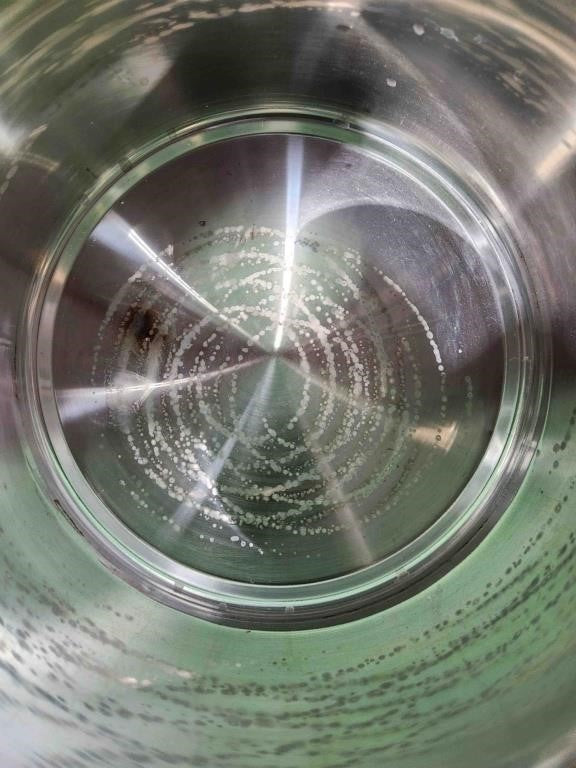 Johaus Stainless Steel Canning Pot with Rack