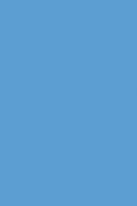 Blue 15 ft Round Overlap Liner 48/52 inch