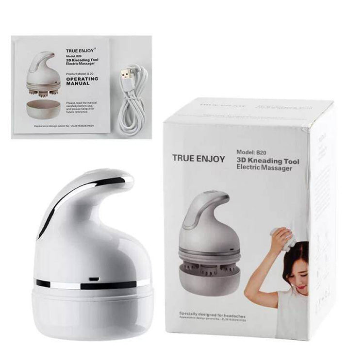 True Enjoy, 3D Kneading Tool Electric Massager, Model: B20