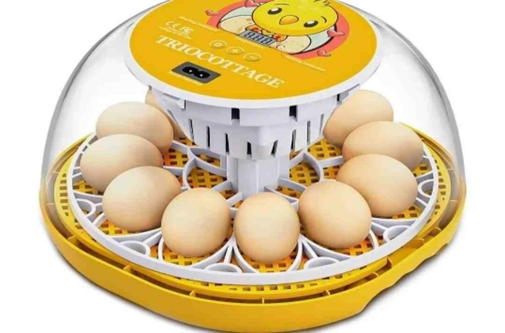 Clear Egg Hatching Incubator with Automatic