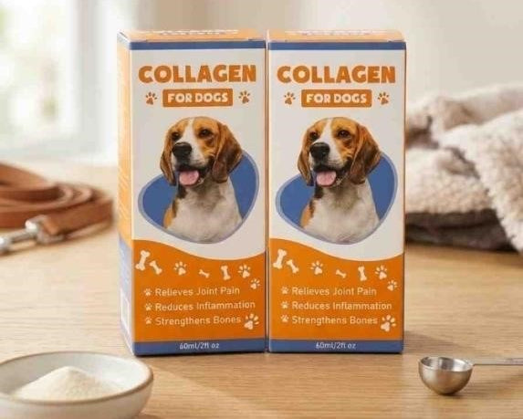Collagen Supplement for Dogs – Joint Pain Relief & Bone Support (60ml / 2 fl oz