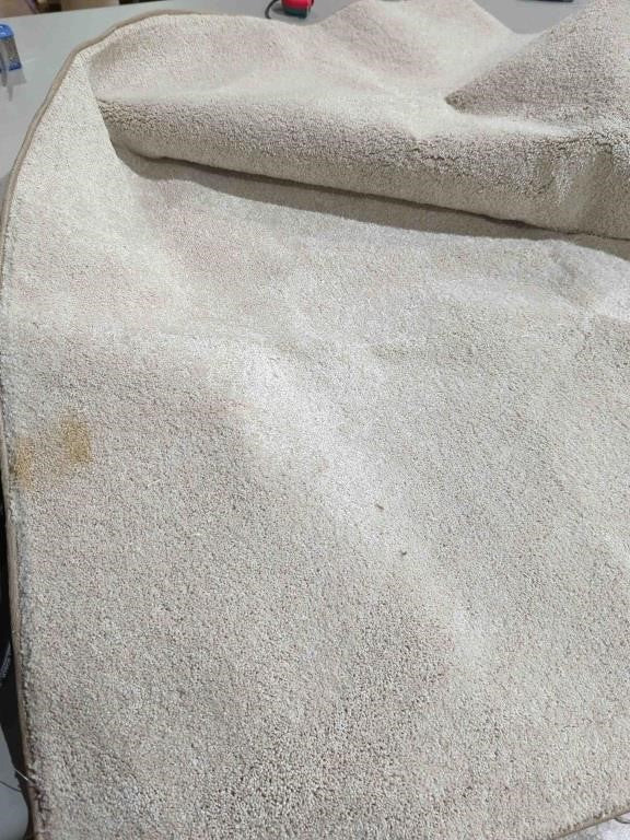 Indoor Area Rug, Frieze Plush Textured, 5ft*7ft Cream