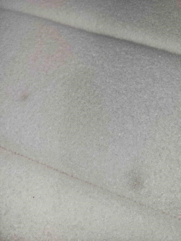 24KF Modern Teddy Fabric Upholstered King/Cal. 6026-K-Teddy Cream