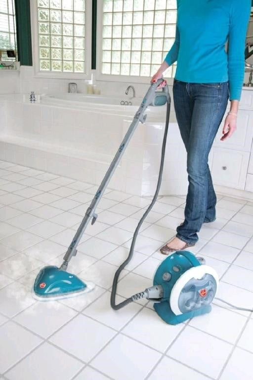 Hoover, TwinTank Canister Steam Cleaner