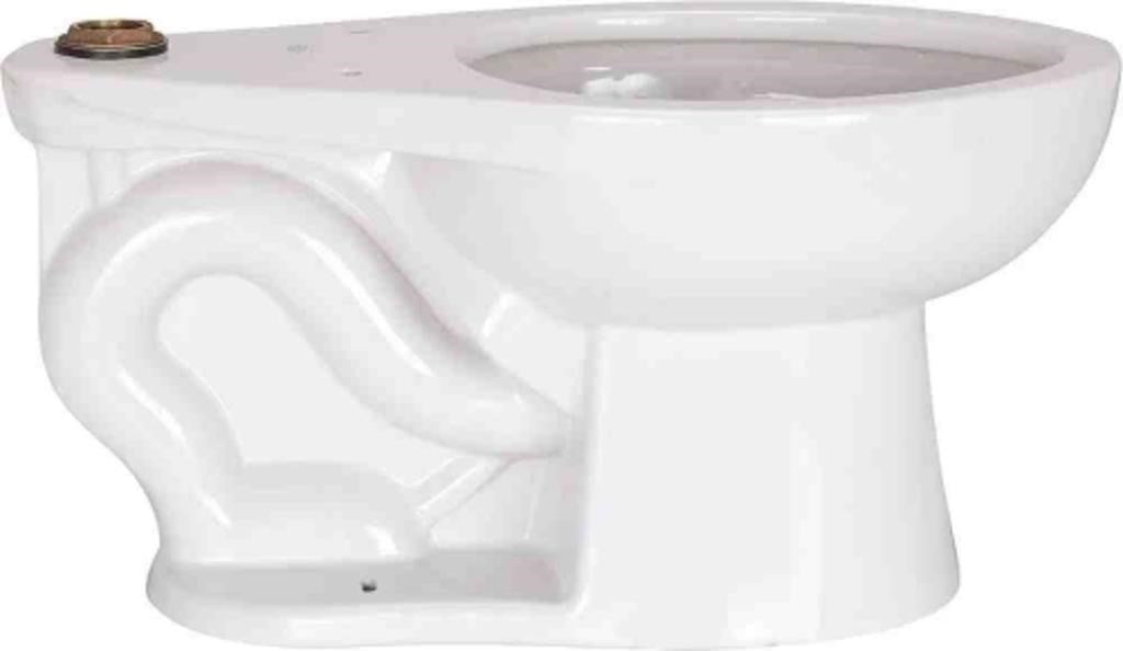 Zurn Industries Z5654-BWL-BA-AM Toilet Bowl, S