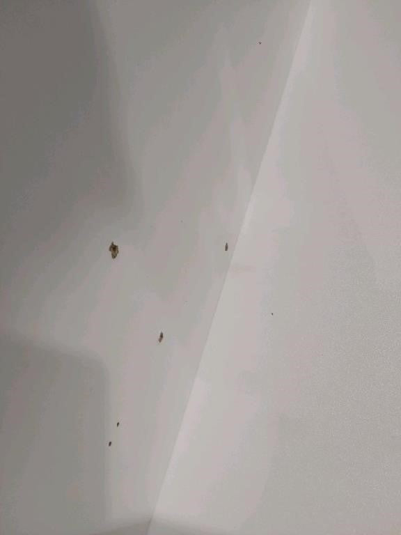 Radlove Electric Height Adjustable Standing Desk,