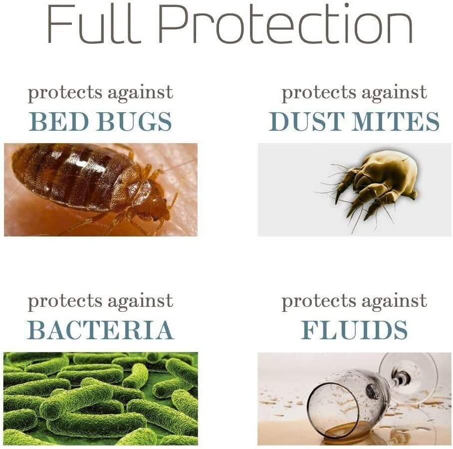 SafeRest Waterproof Pillow Protectors – Queen